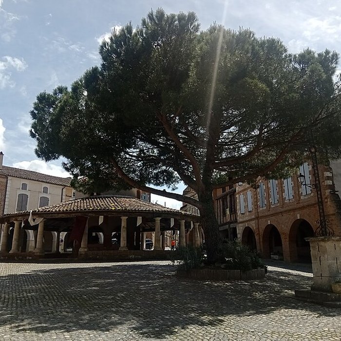 Photo de Halle aux grains dAuvillar