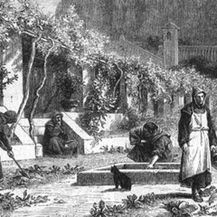 Photo de Abbaye Saint-Hilaire de Ménerbes