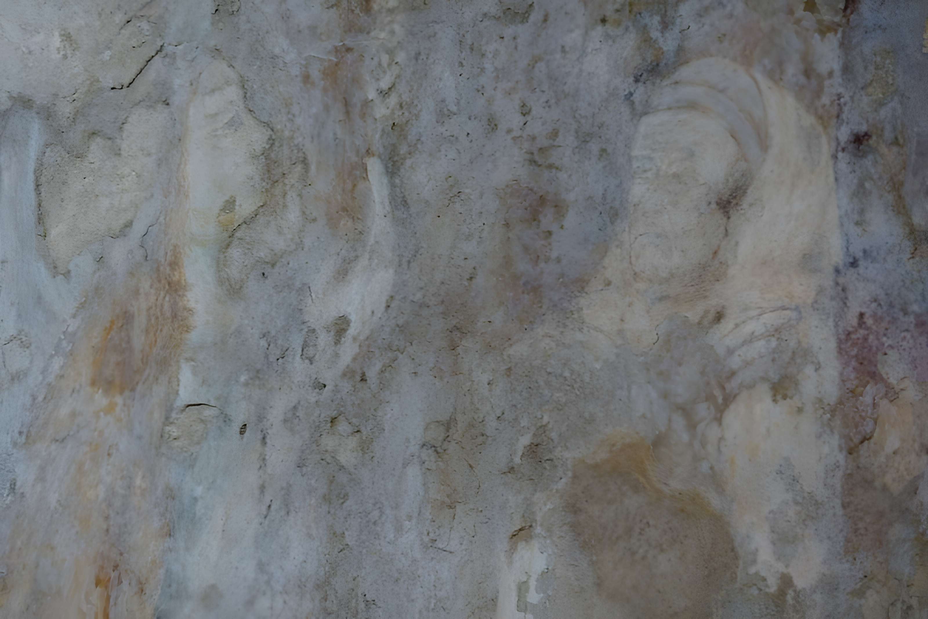 Abbaye Saint-Hilaire de Ménerbes