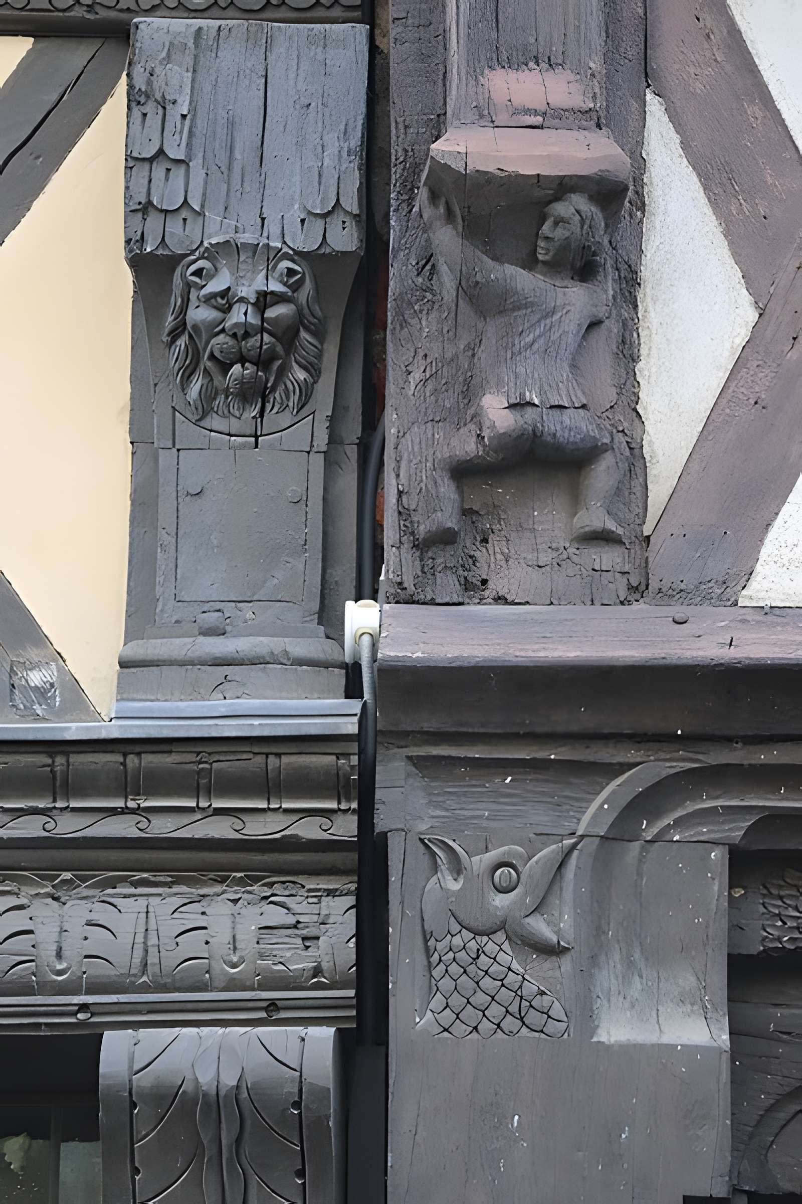 Maison, 5-9 Rue de l'Oisellerie à Angers