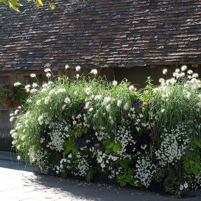 Photo de Halles de Dives-sur-Mer