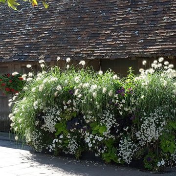 Halles de Dives-sur-Mer