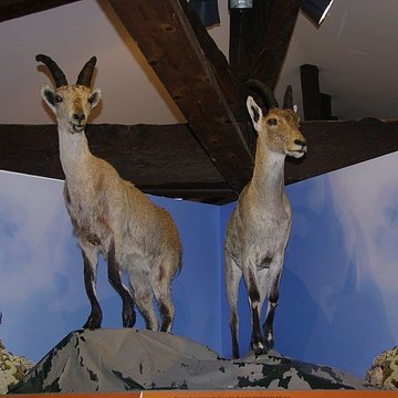 maison forte de seix