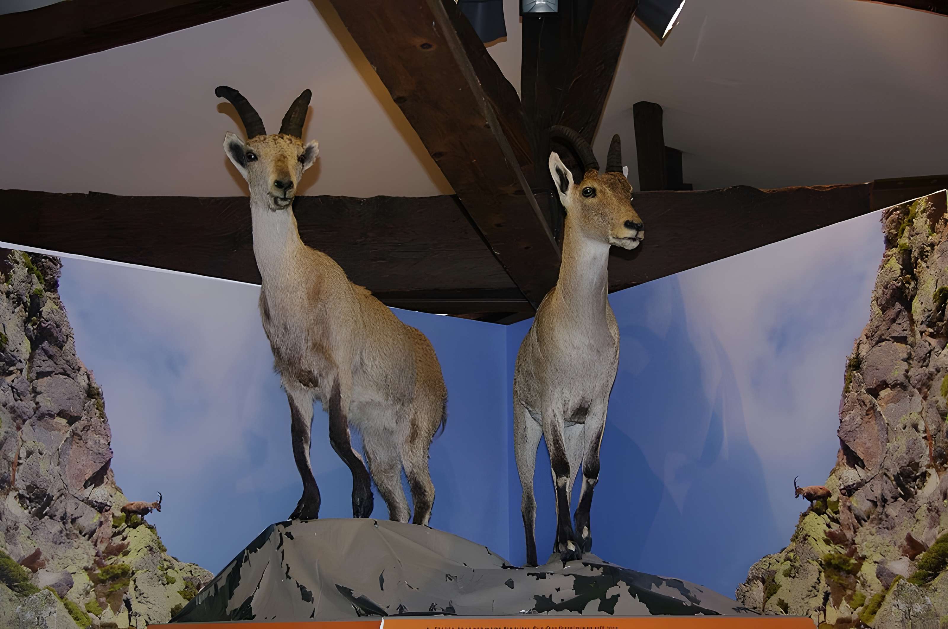 Maison-forte de Seix