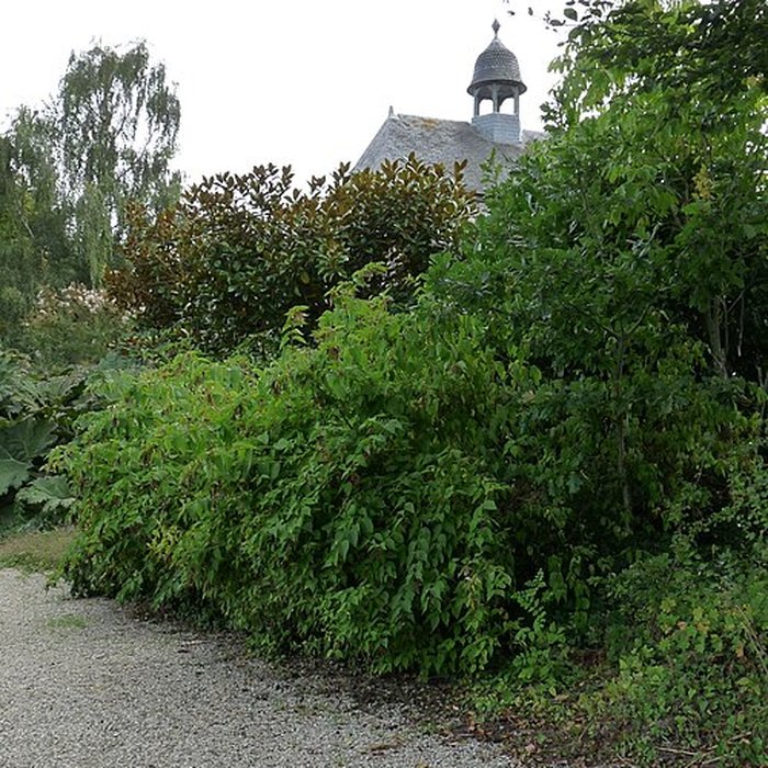 Photo de Malouinière de la Ville Bague