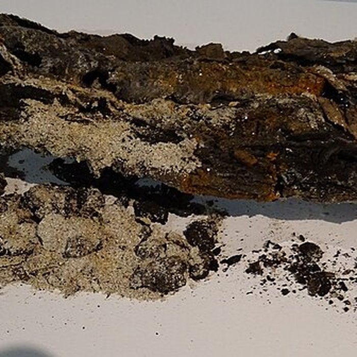 Photo de Manoir de Kernault 