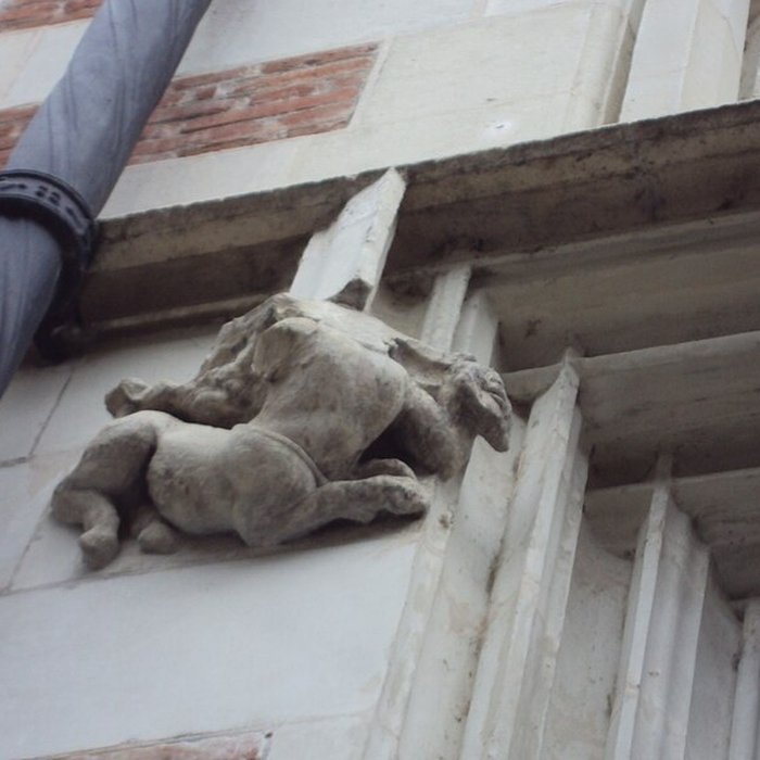 Photo de Hôtel dAlluye à Blois