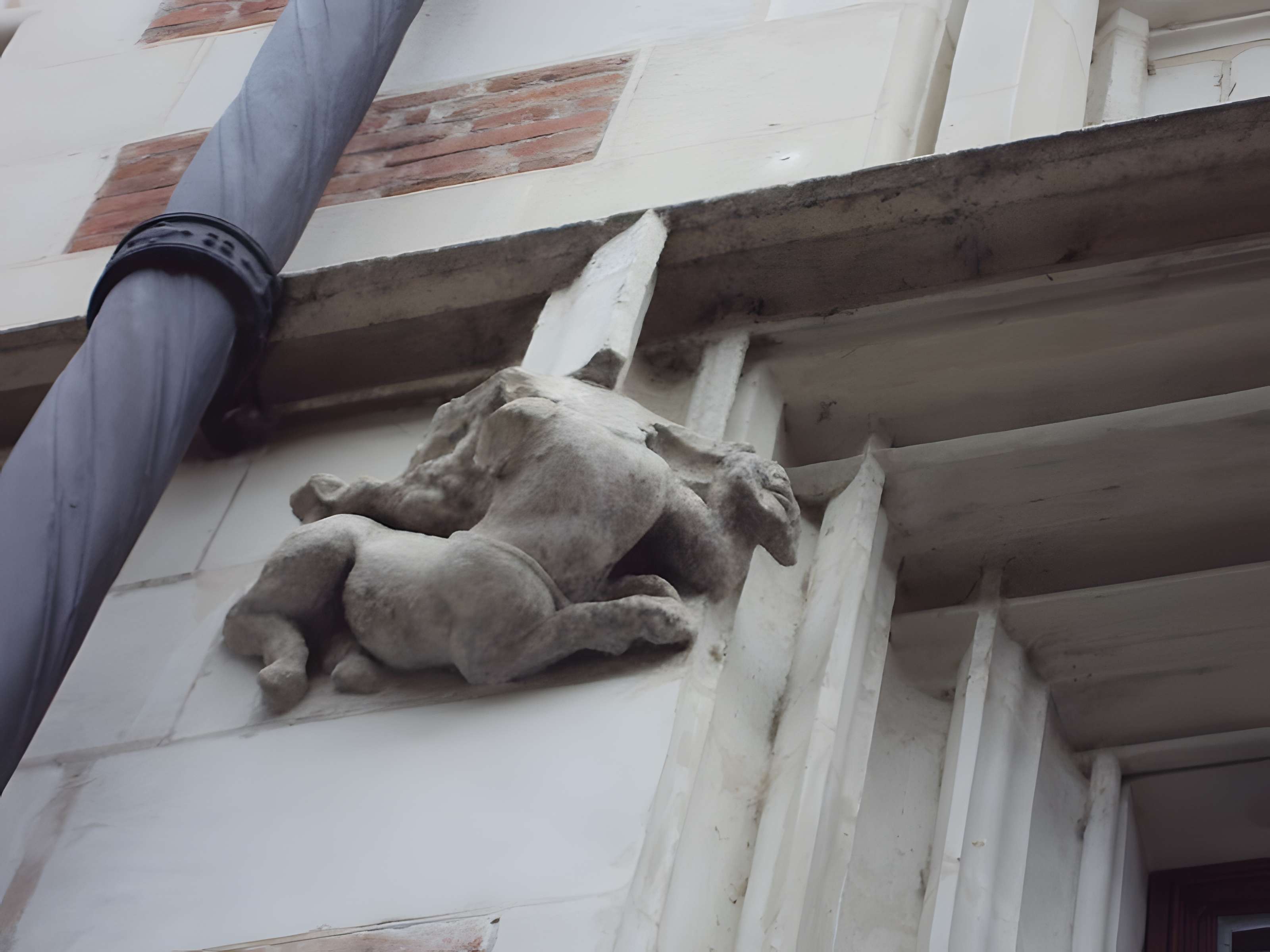 Hôtel d'Alluye à Blois