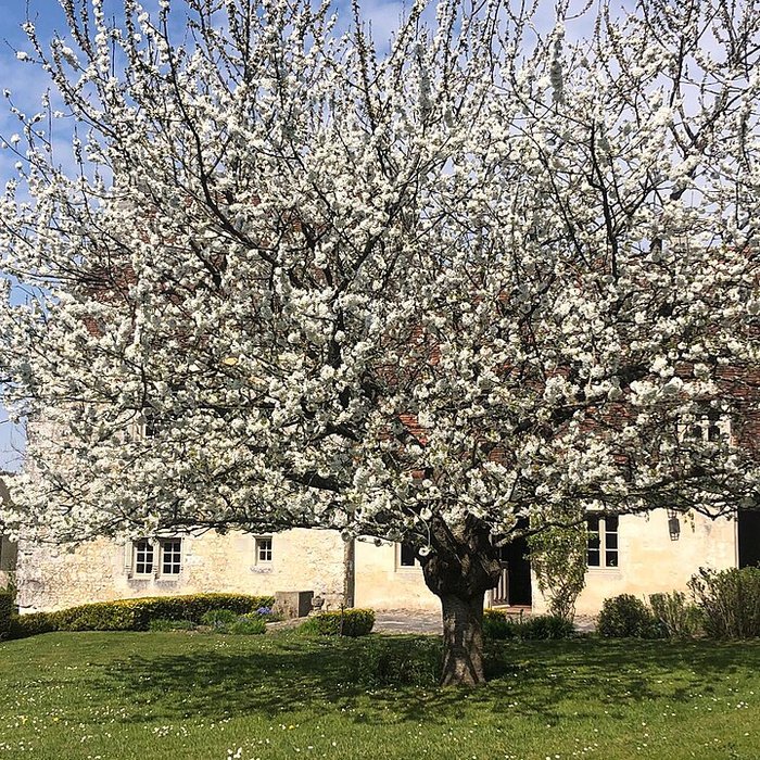 Photo de Manoir de la Moussetière 