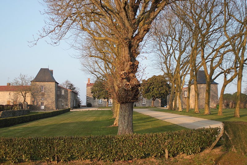 Photo de Manoir de la Roche-Thévenin