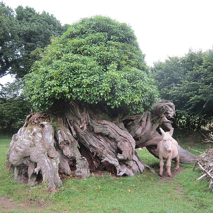 Photo de Manoir de Menguionnet