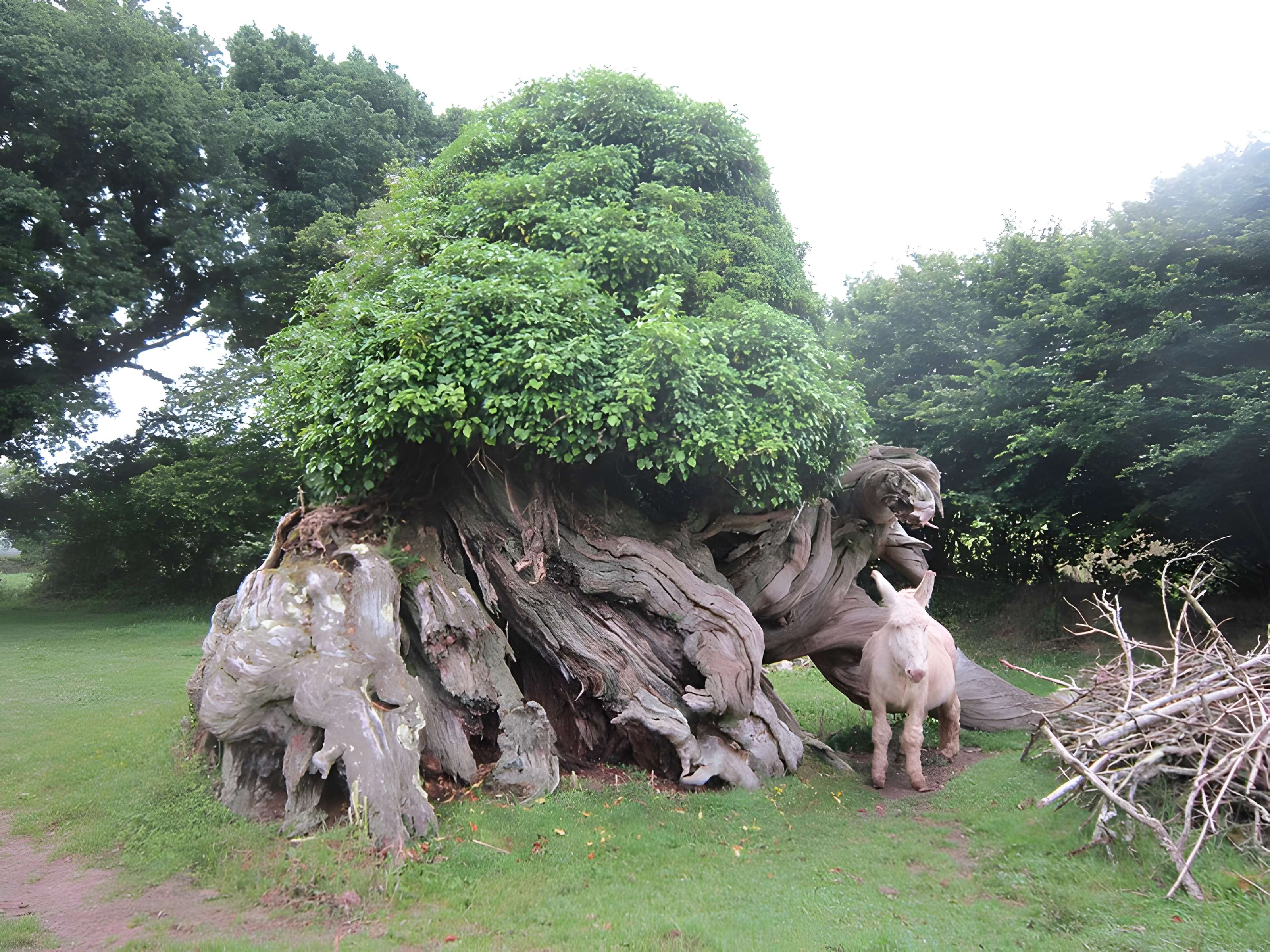 Manoir de Menguionnet