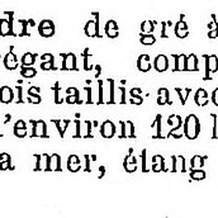 Photo de Manoir de Penmarch 