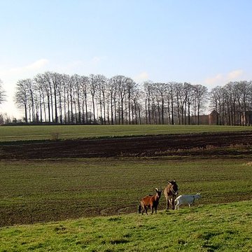 Manoir dit de Vertot