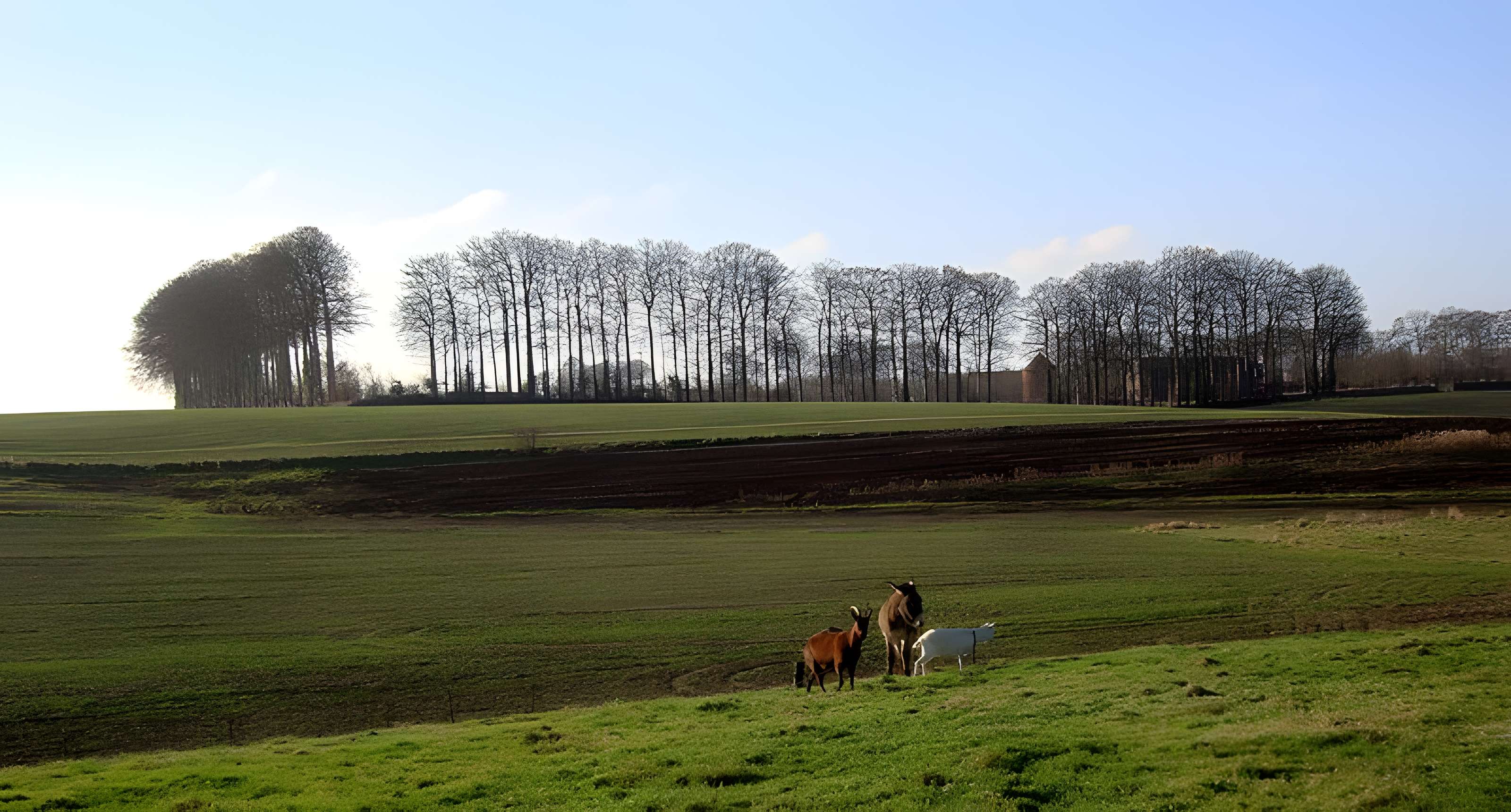 Manoir dit de Vertot