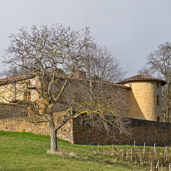 Photo de Manoir dÉpeisse