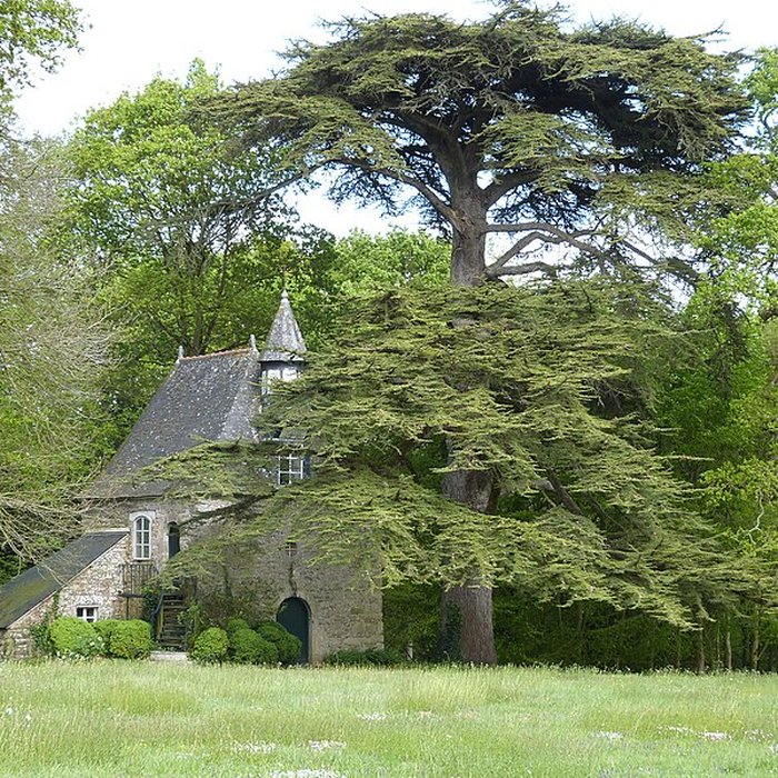Photo de Manoir du Colombier de Hénon