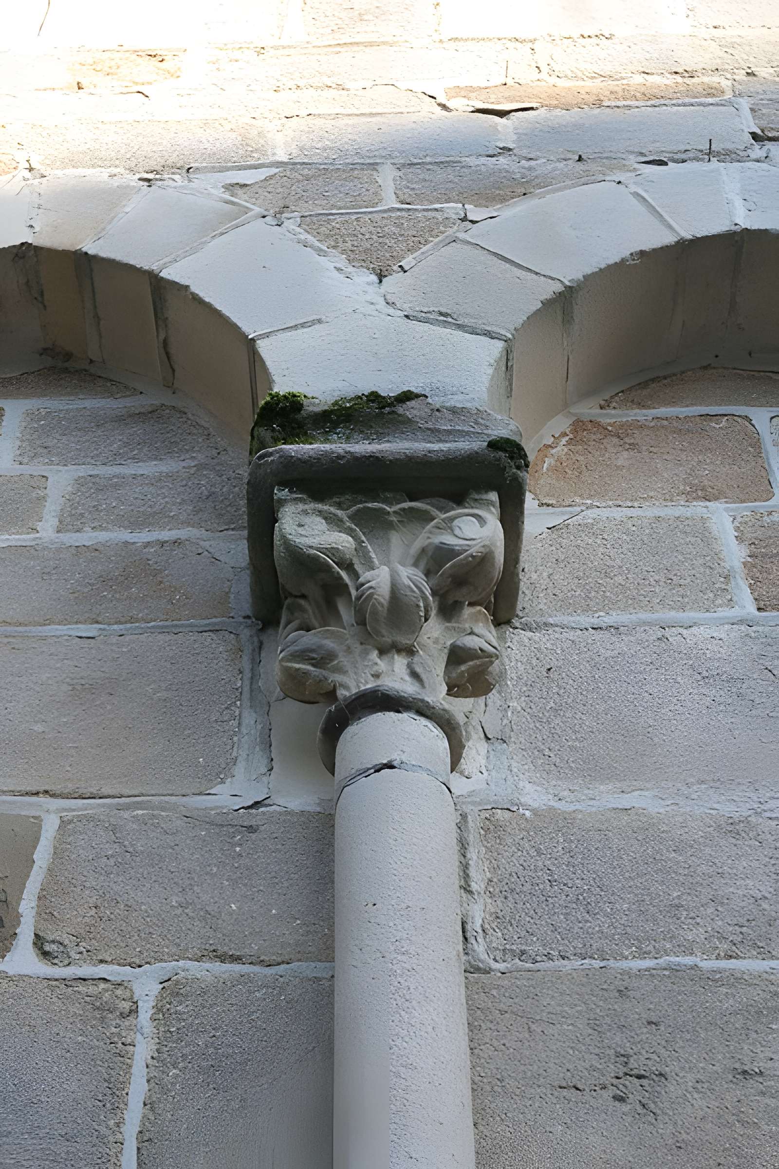 Ruines de l'ancien prieuré royal de Saint-Magloire
