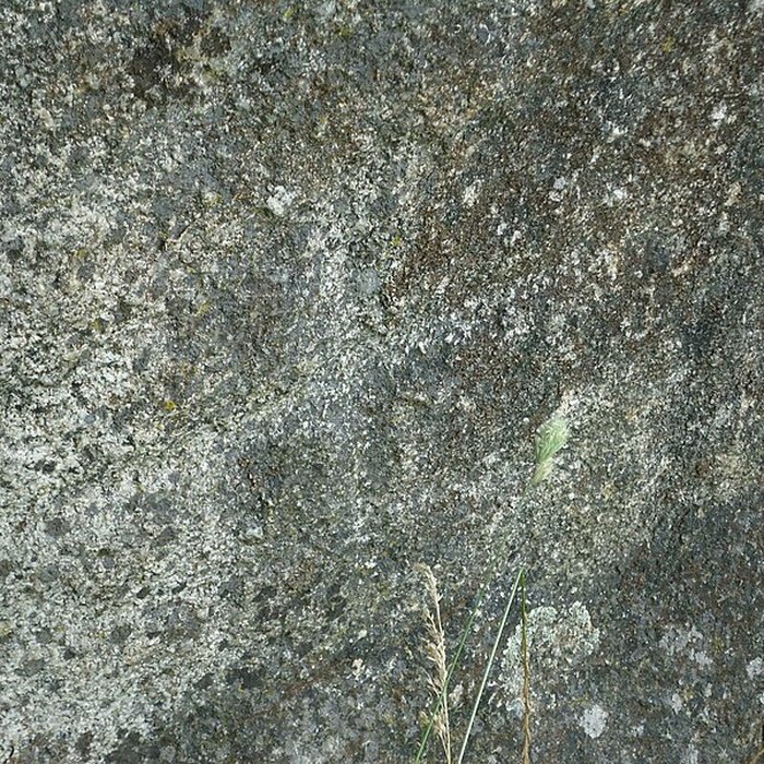 Photo de Menhir dArnac à Cieux