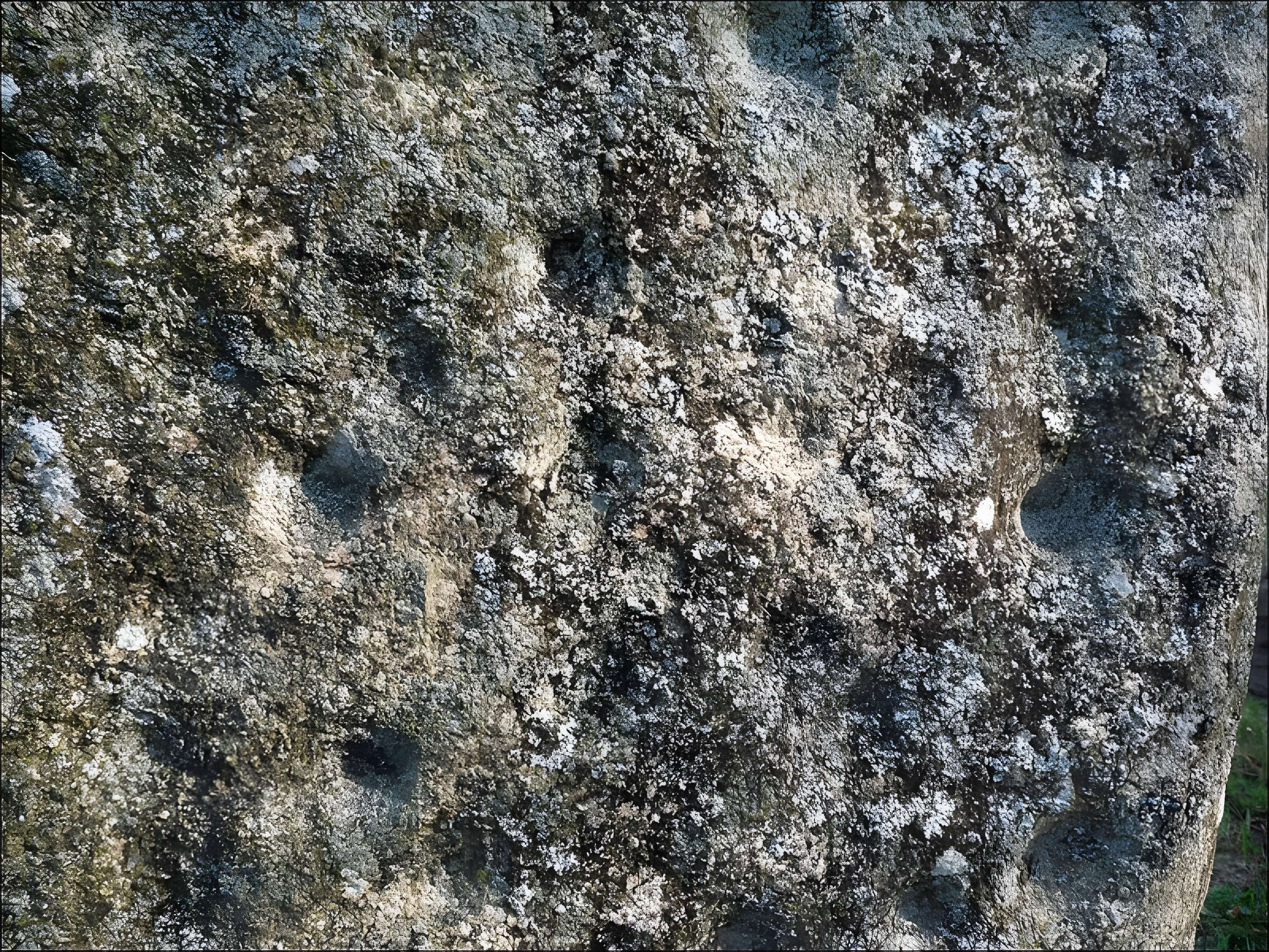 Menhir d'Arnac à Cieux