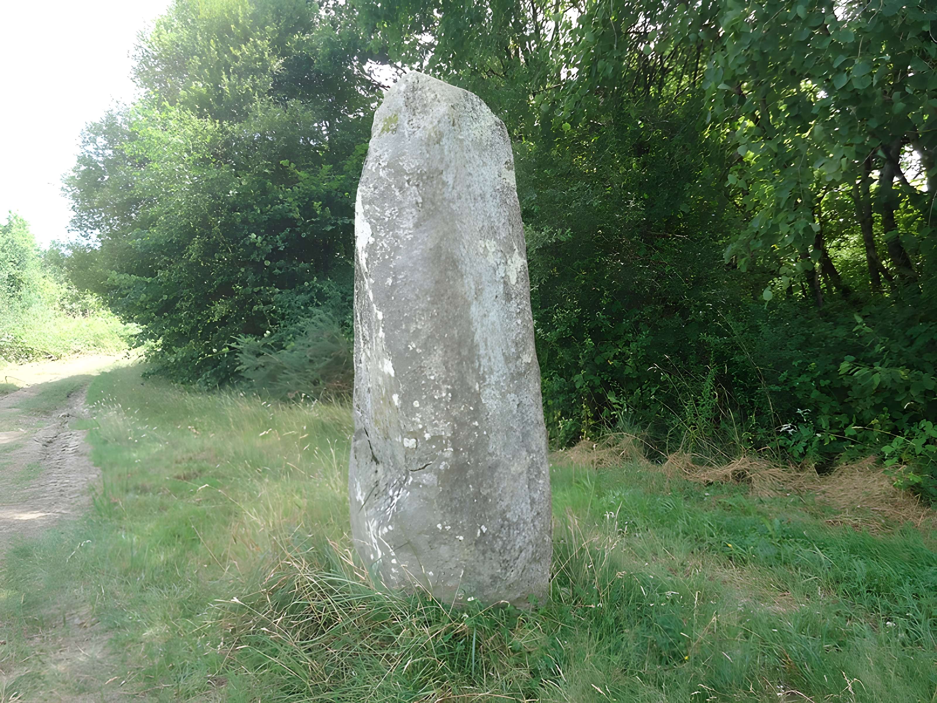 Menhir d'Arnac à Cieux