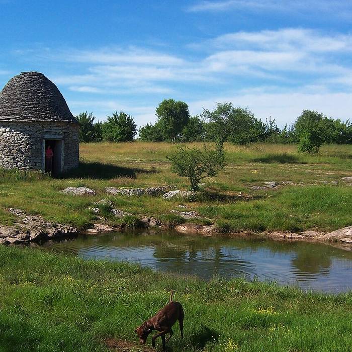 Photo de Menhir de Bélinac à Livernon