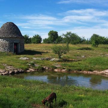 Menhir de Bélinac à Livernon