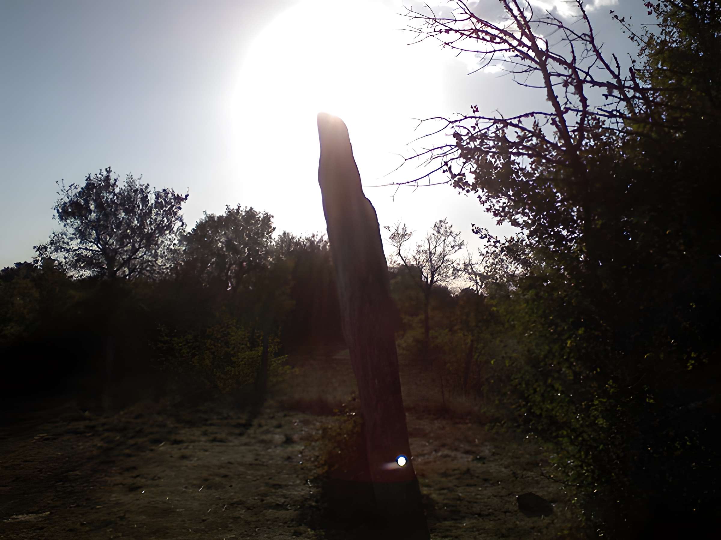 Menhir de Bélinac à Livernon