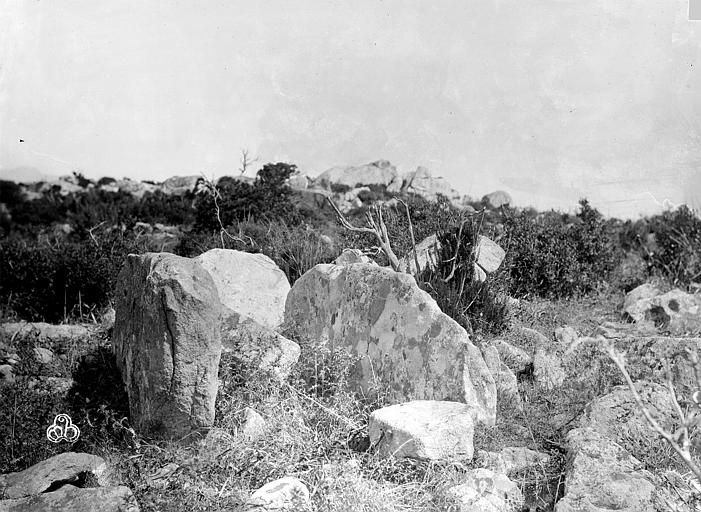 Menhir de Capo-di-Luogo à Belvédère-Campomoro