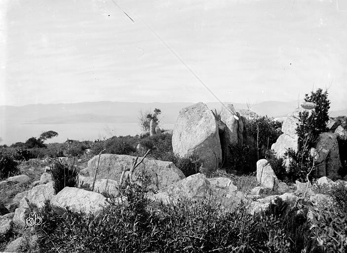 Menhir de Capo-di-Luogo à Belvédère-Campomoro