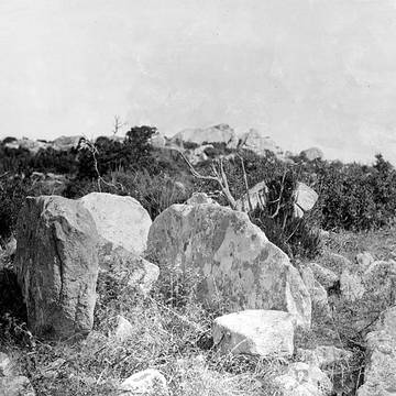 Menhir de Capo-di-Luogo à Belvédère-Campomoro