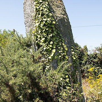 Menhir de Couinandré à Plouescat