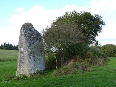Photo de Menhir de Crec'h Ogel à Saint-Gilles-Pligeaux