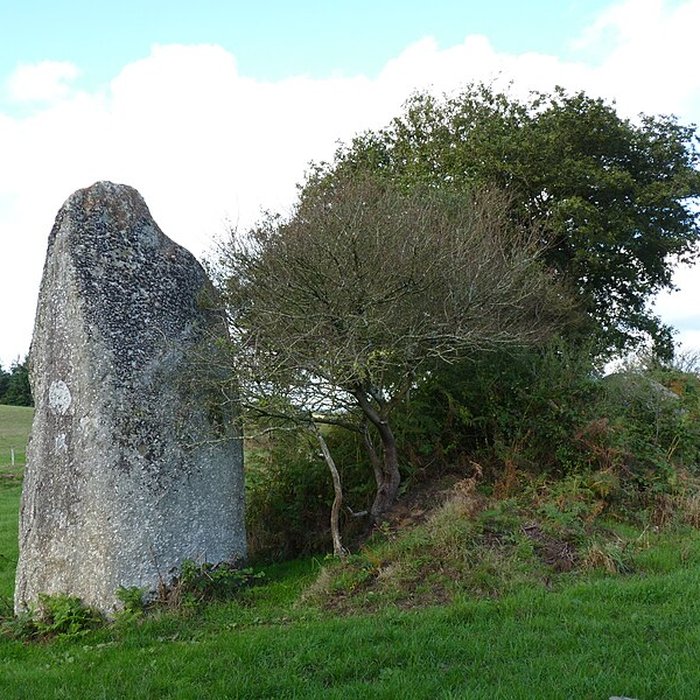 Photo de Menhir de Crech Ogel à Saint-Gilles-Pligeaux