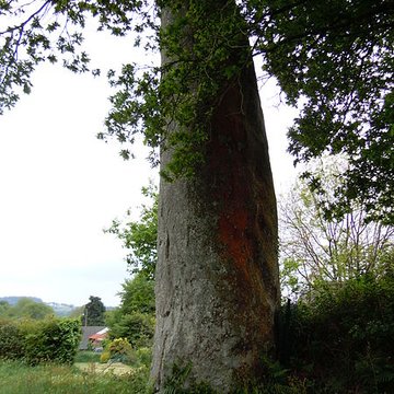 Menhir de Glomel