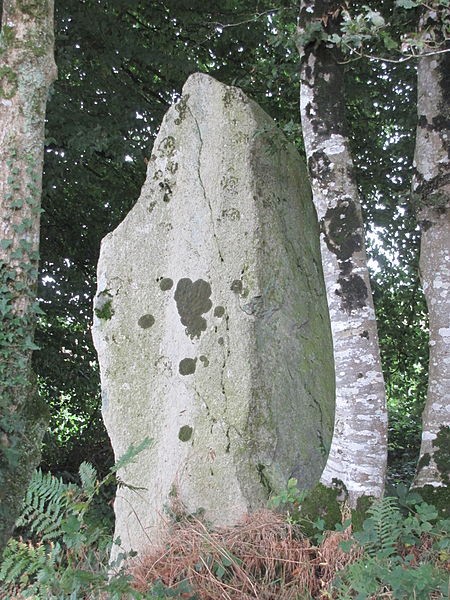 Photo de Menhir de Guernangoué à Roudouallec