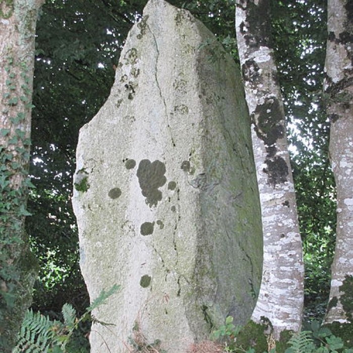 Photo de Menhir de Guernangoué à Roudouallec