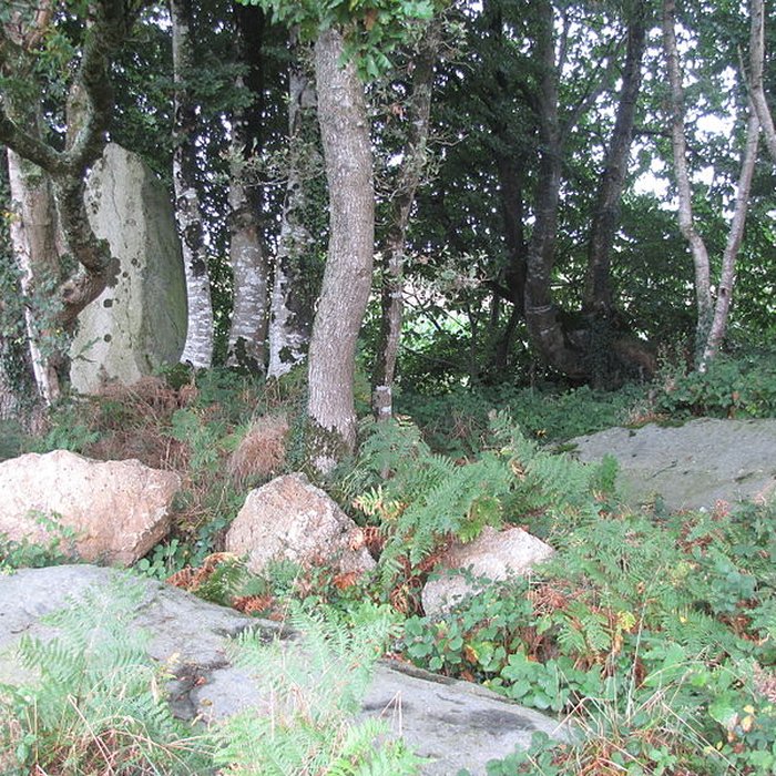 Photo de Menhir de Guernangoué à Roudouallec