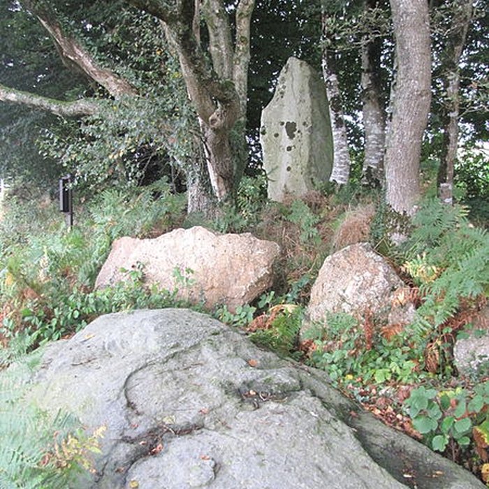 Photo de Menhir de Guernangoué à Roudouallec