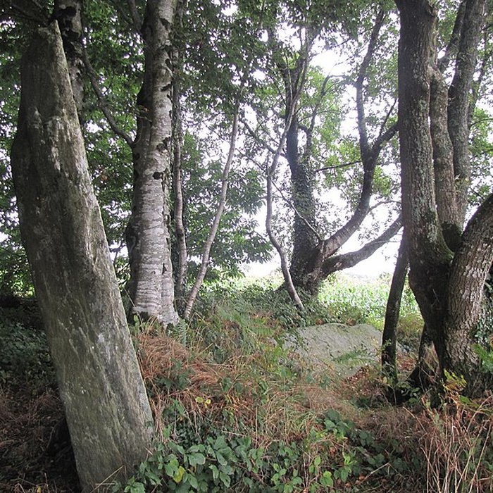 Photo de Menhir de Guernangoué à Roudouallec