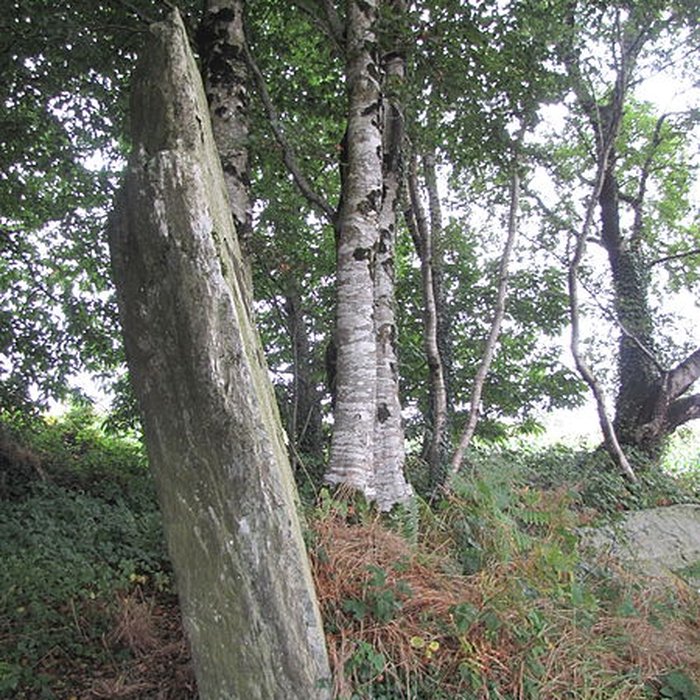 Photo de Menhir de Guernangoué à Roudouallec