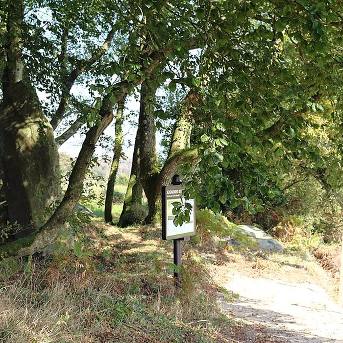 Photo de Menhir de Guernangoué à Roudouallec