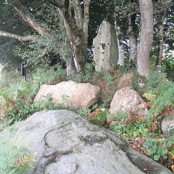 Menhir de Guernangoué à Roudouallec