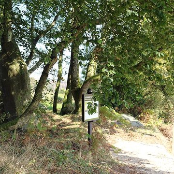 Menhir de Guernangoué à Roudouallec