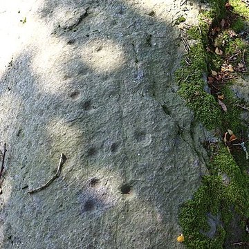 Menhir de Guernangoué à Roudouallec