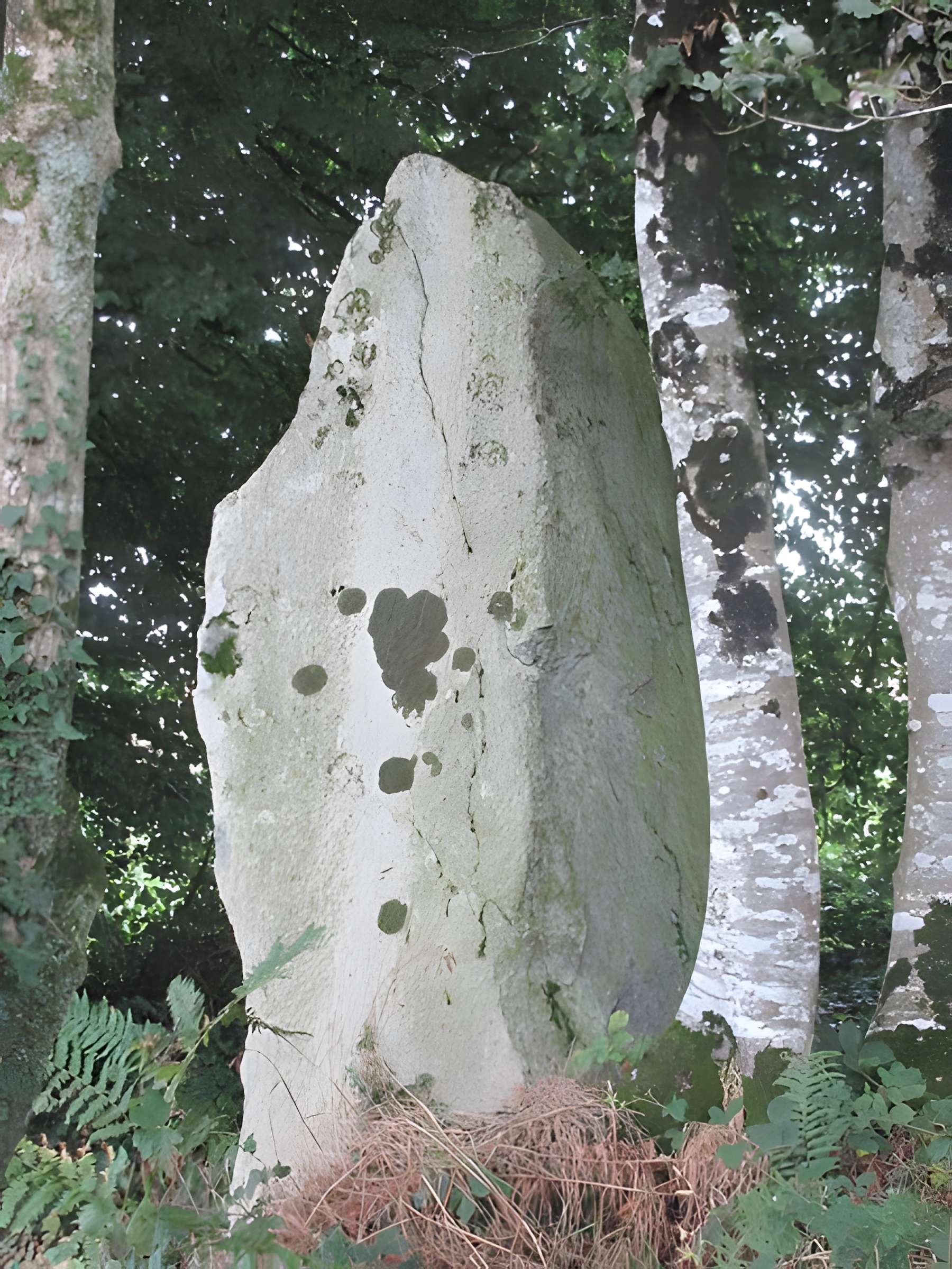 Menhir de Guernangoué à Roudouallec 