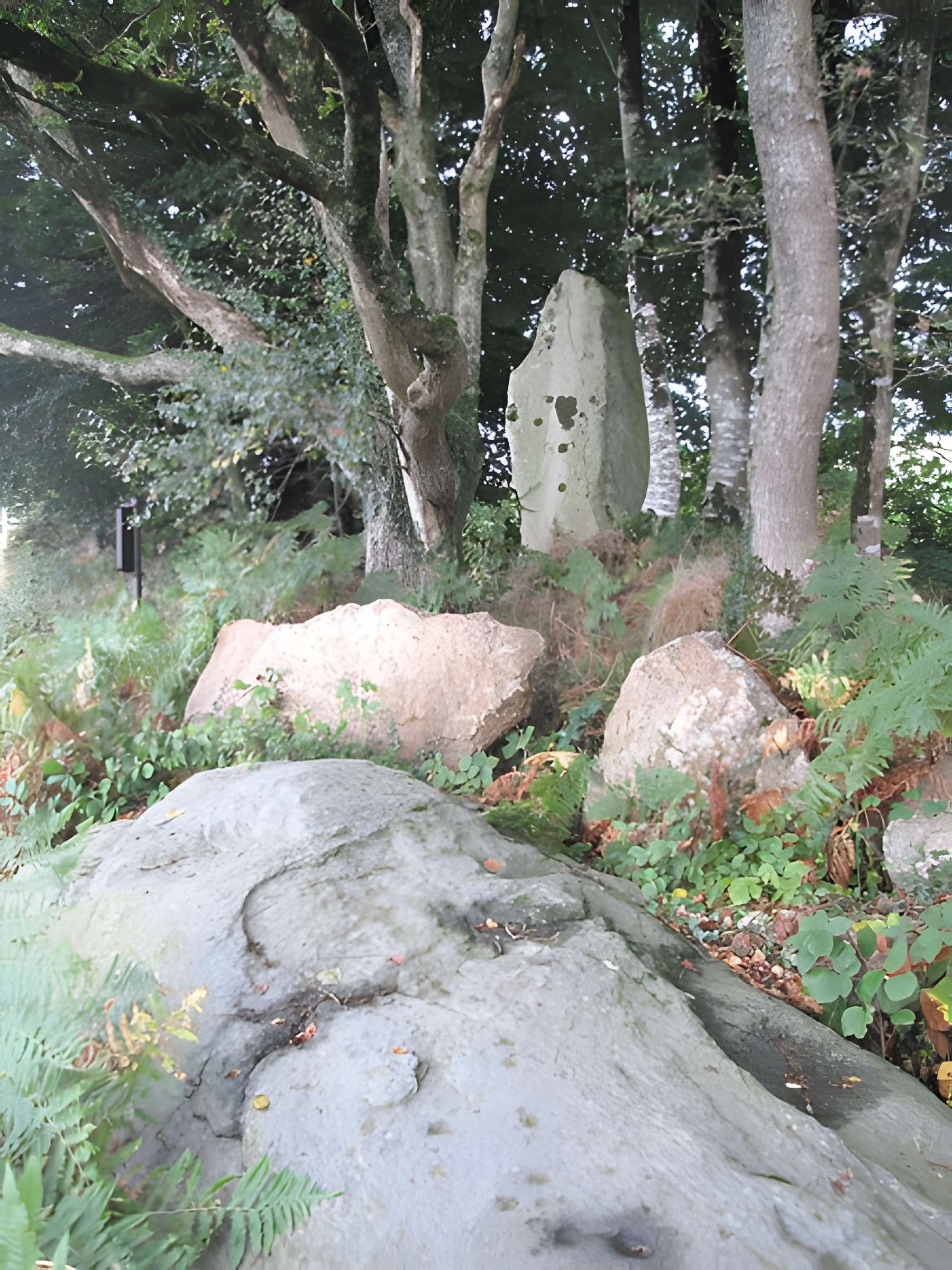 Menhir de Guernangoué à Roudouallec