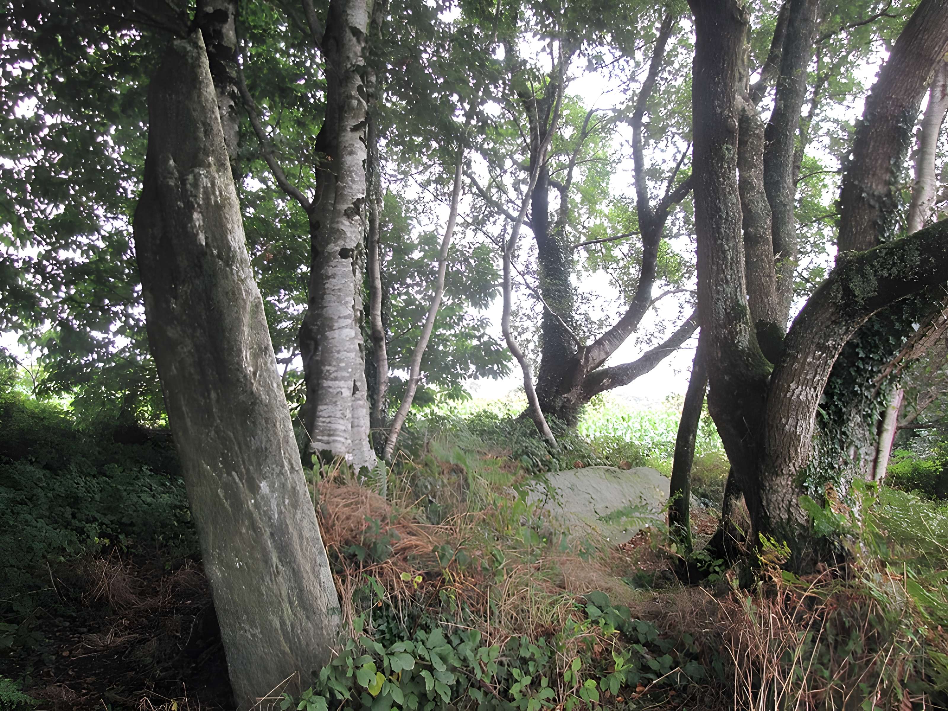 Menhir de Guernangoué à Roudouallec
