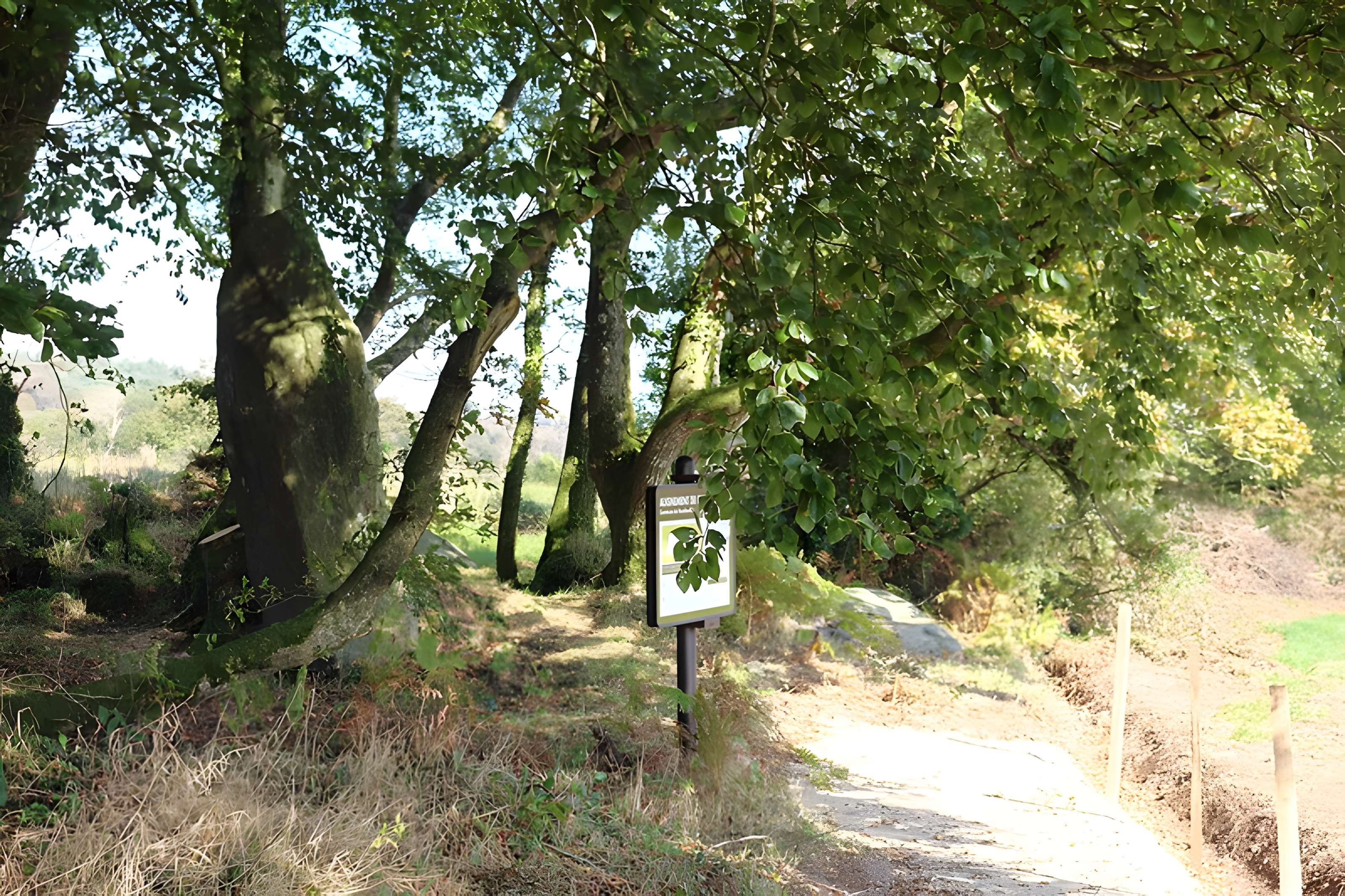 Menhir de Guernangoué à Roudouallec