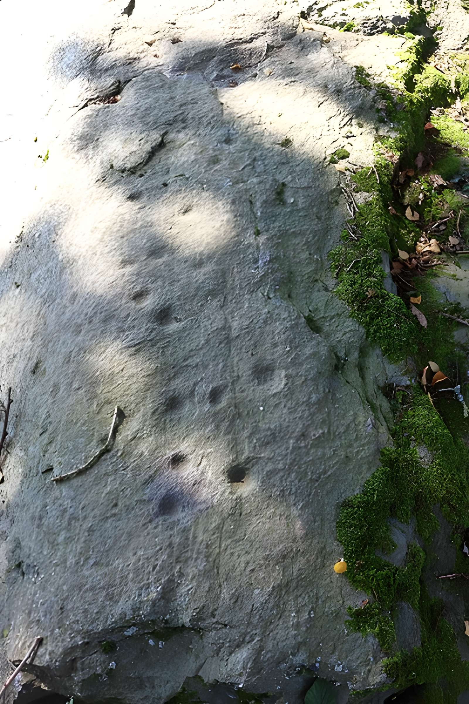 Menhir de Guernangoué à Roudouallec
